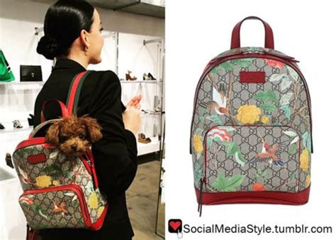 gucci hummingbird backpack|gucci waterproof backpack.